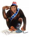 ass-monkey