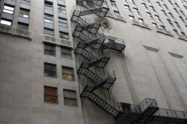 City Ivy