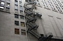 City Ivy