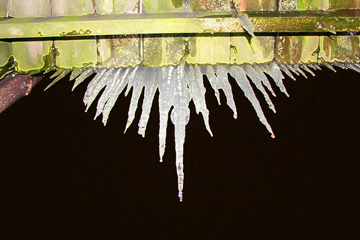 Icey 1
