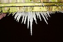 Icey 1