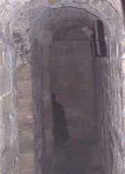 shadow 1