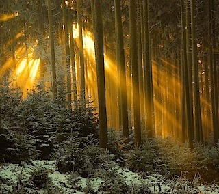 sun